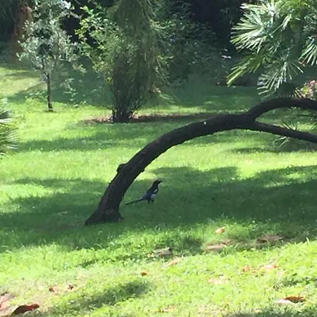 Cannes Eden Résidence De Luxe Piscine Tennis *